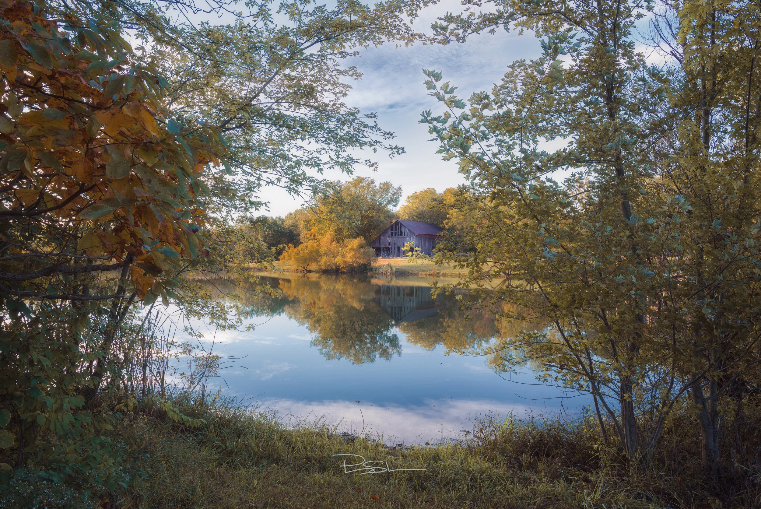 Landscape